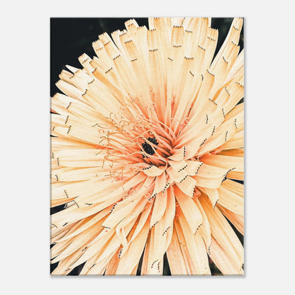 6c9ac0ec-e56c-4b23-89fa-39695cdc1338