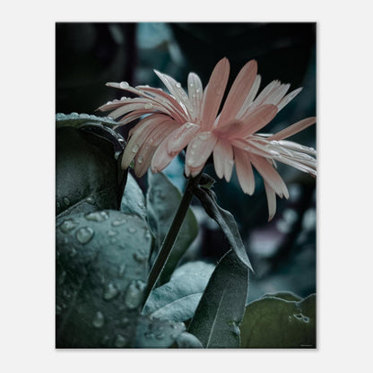 6ca00182-8d7f-407a-b10e-34be86ad5ea4