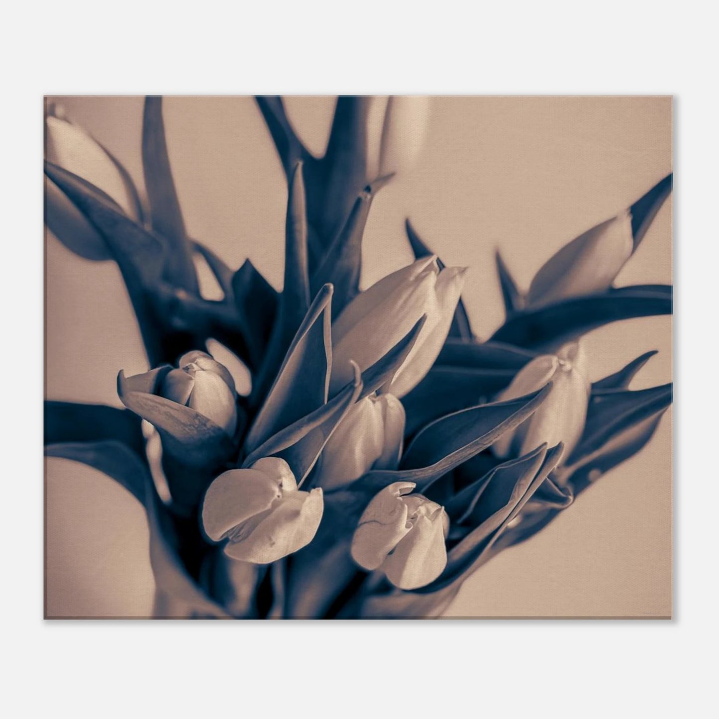 6cb49ddc-decf-453d-a17d-1d1d6fe62fd8
