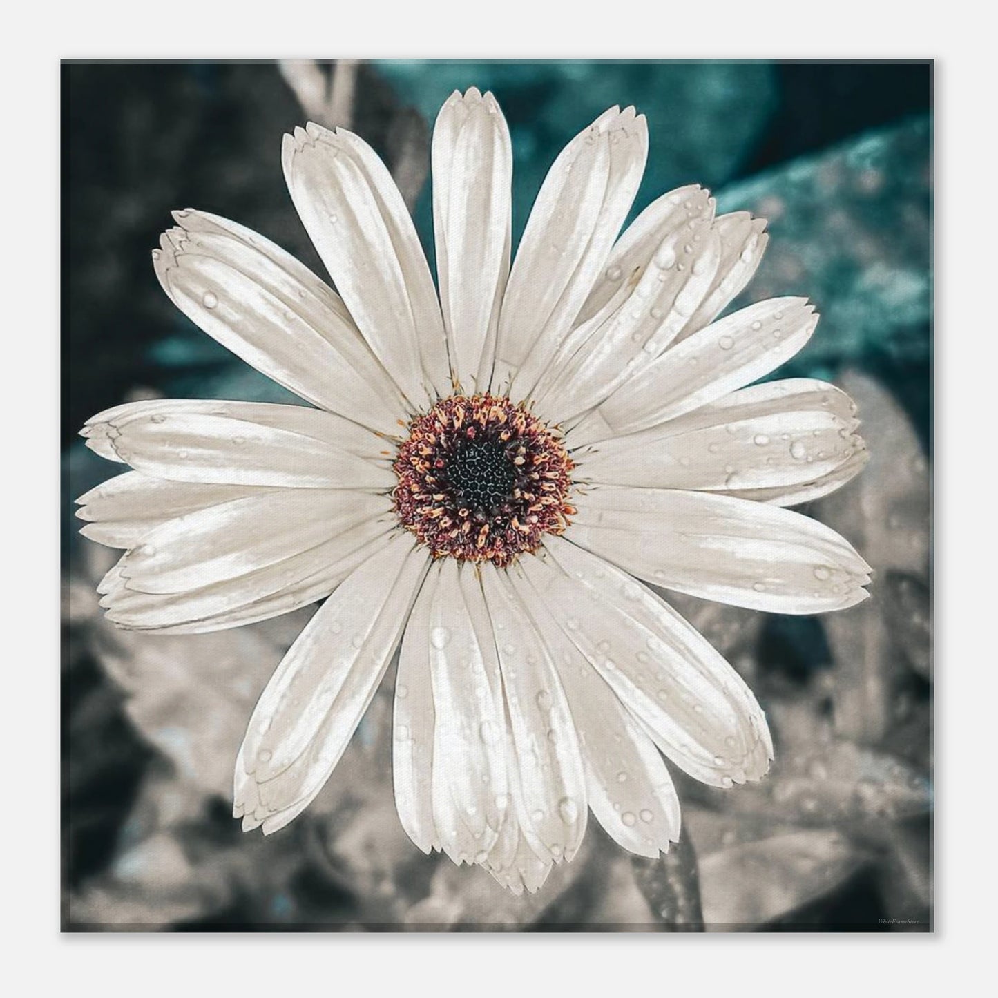 6ce13230-a668-4f2d-9f3a-9d0072550cd2