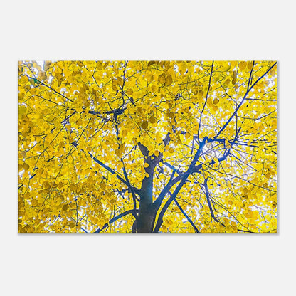 6d2910eb-cf5e-4c1c-b822-e17653913a7e