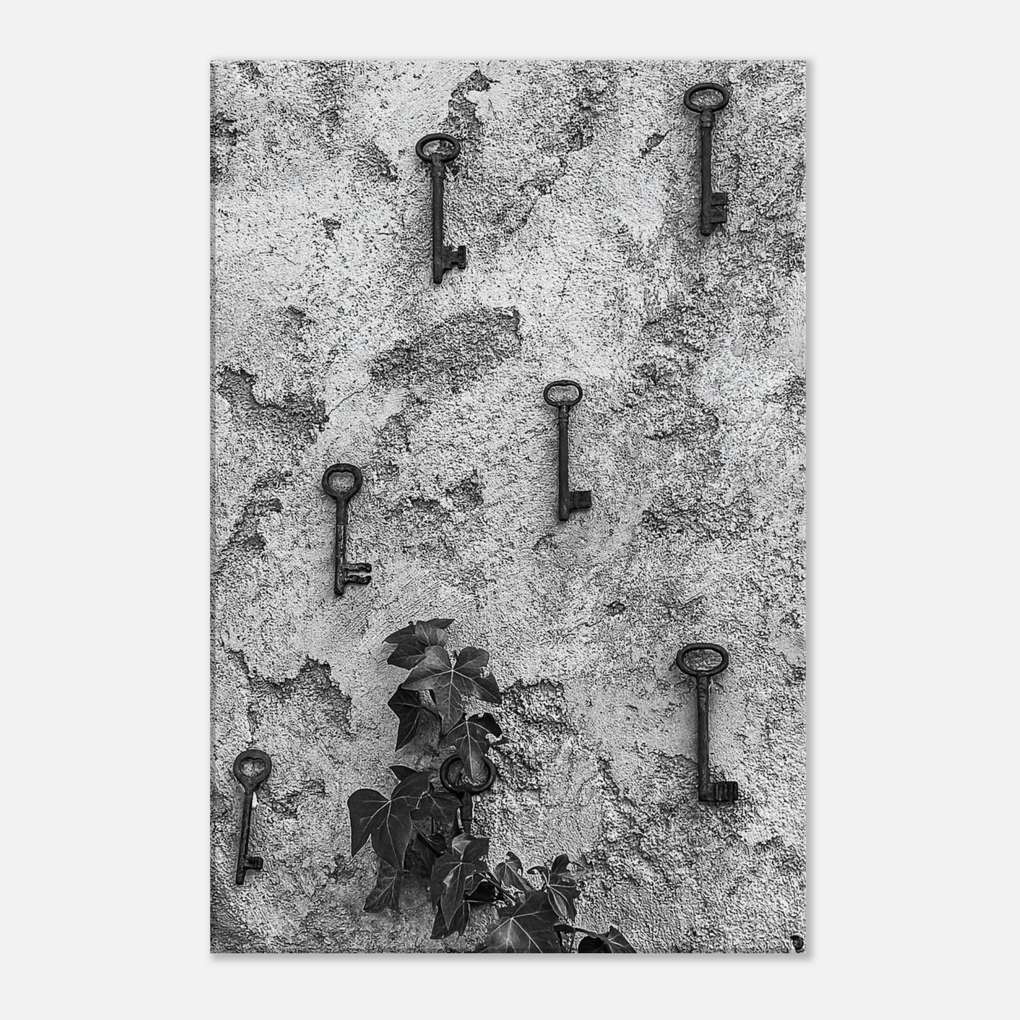 6d2f7641-81d8-4434-a171-1bec3029b221