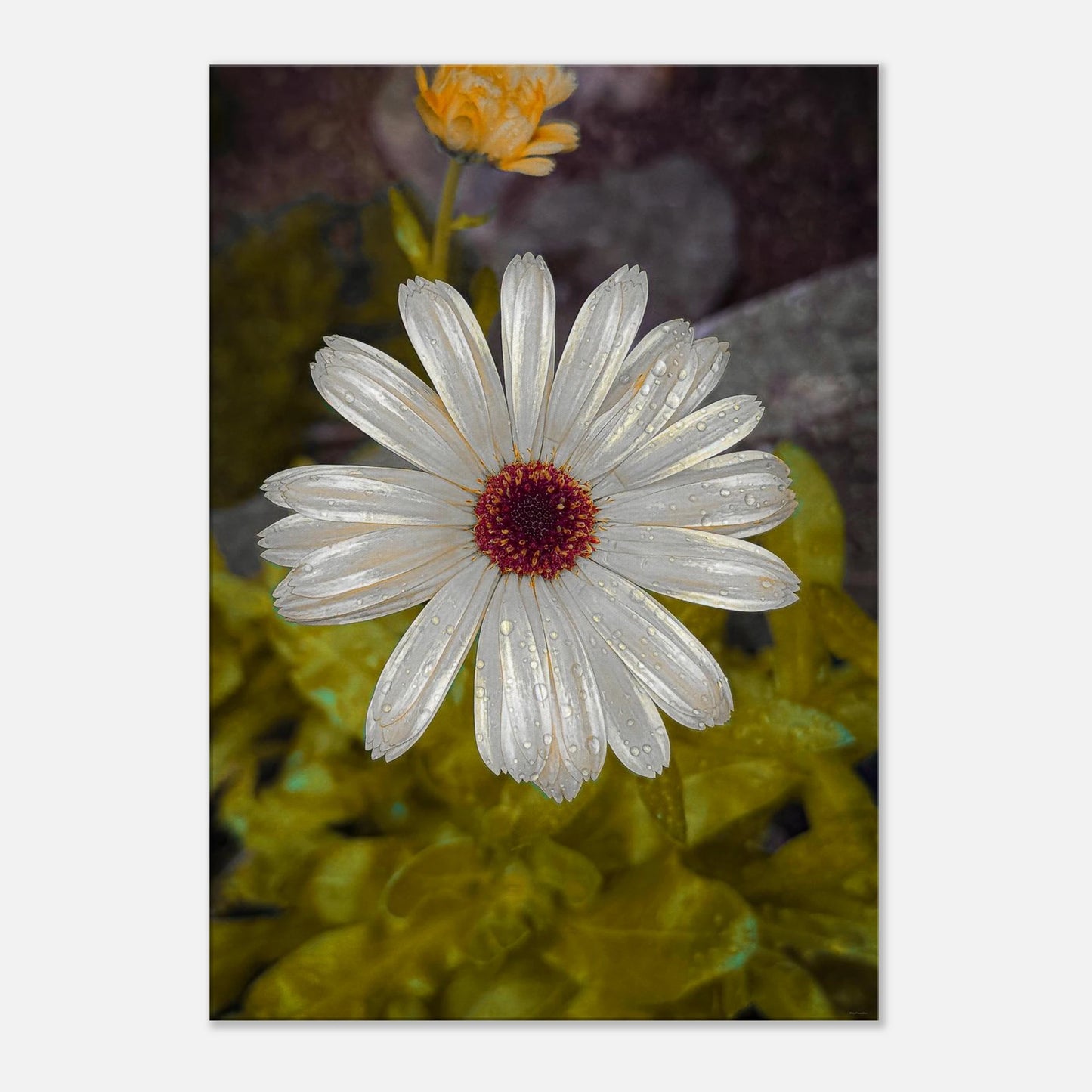 6d490d99-f291-4d92-9b31-04c9b138a9cf