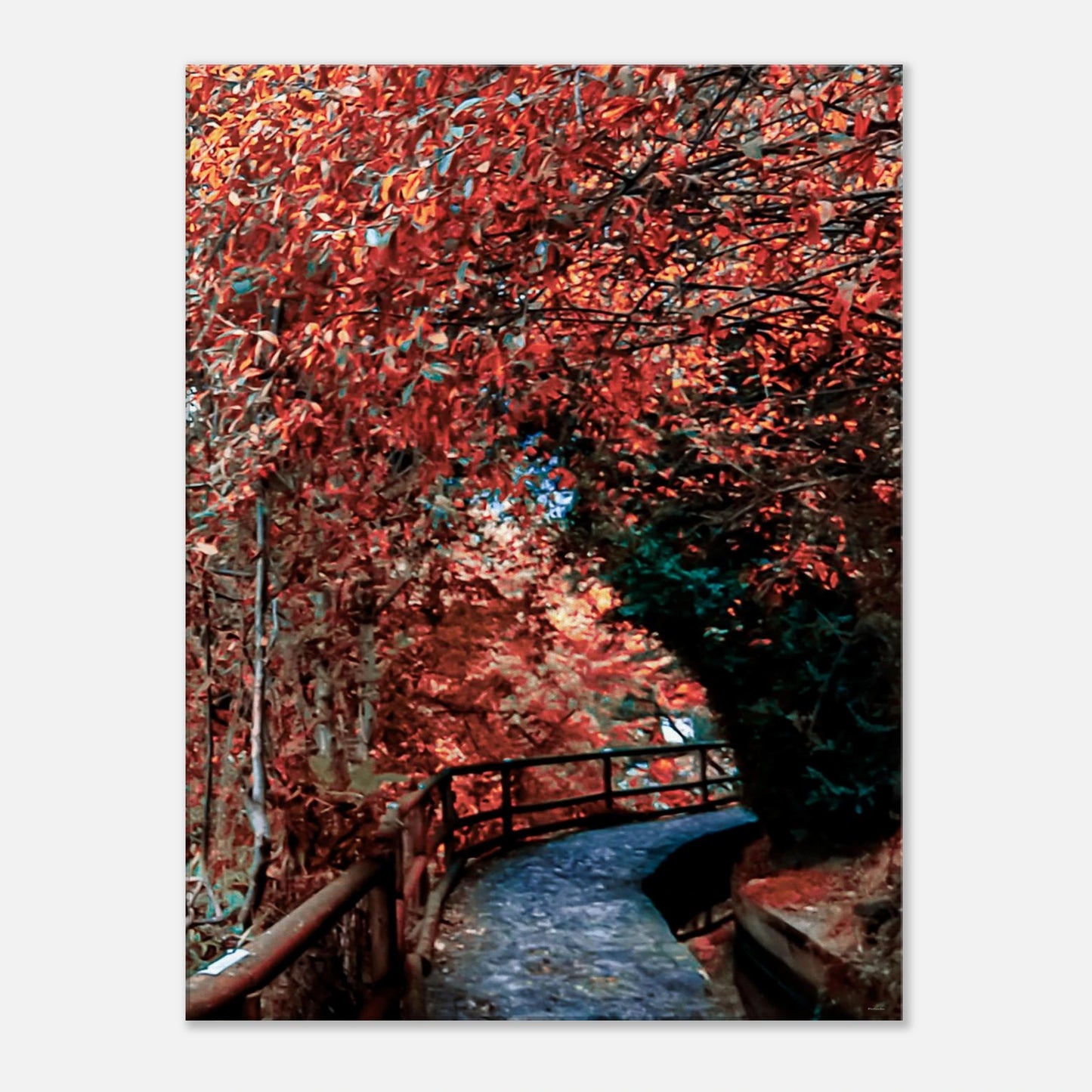 6d4e8047-2130-4fee-9b40-dbb7e3d09c87