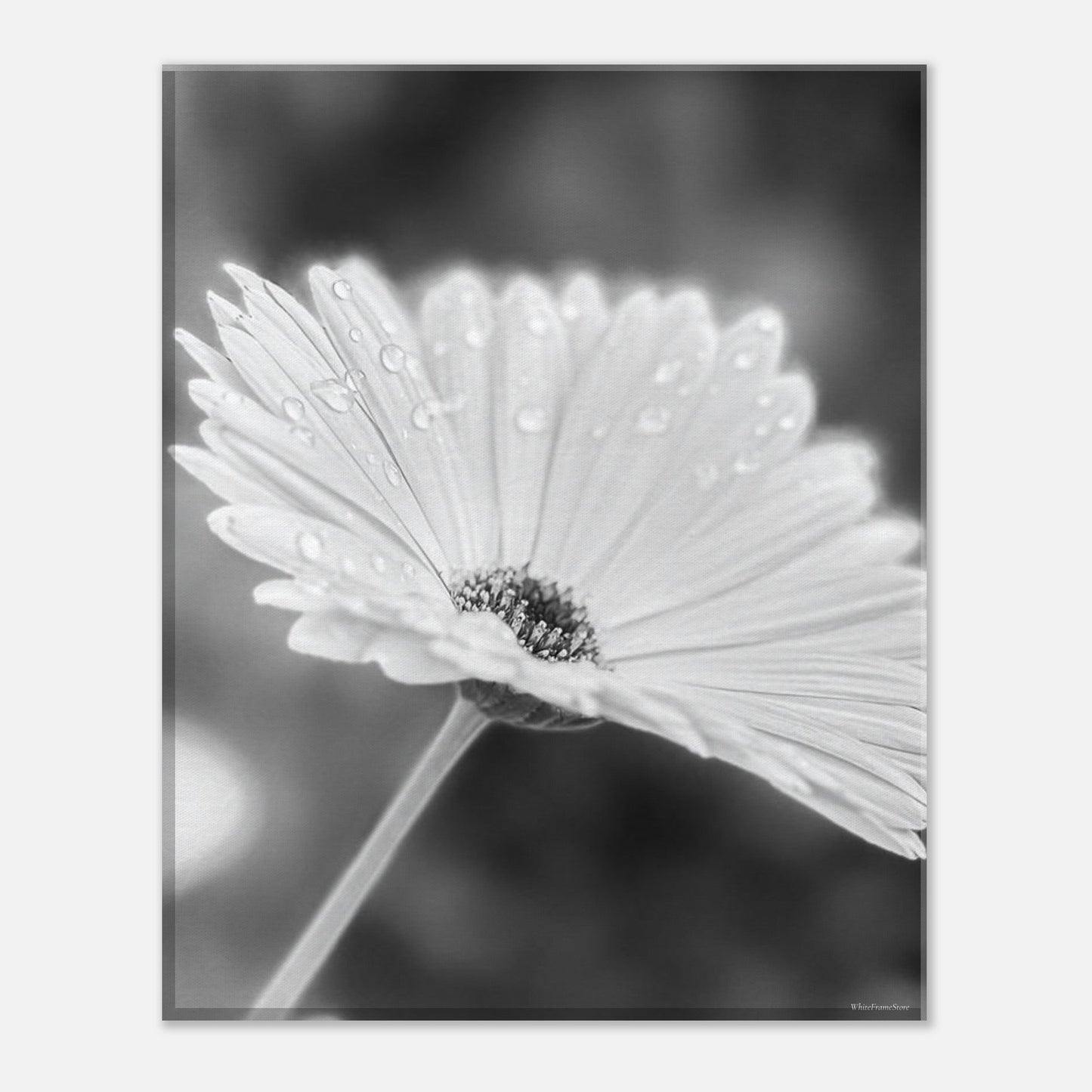 6d582f60-c4d5-40d3-95c8-a2ab09ef0f2a