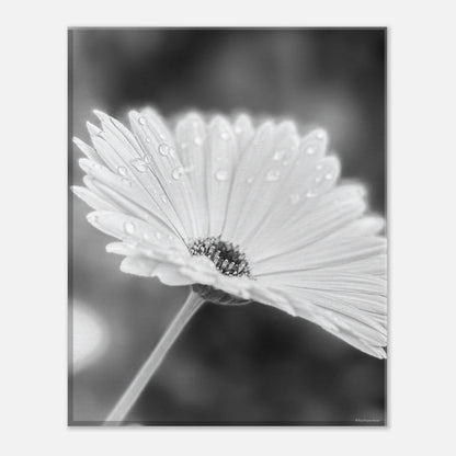 6d582f60-c4d5-40d3-95c8-a2ab09ef0f2a