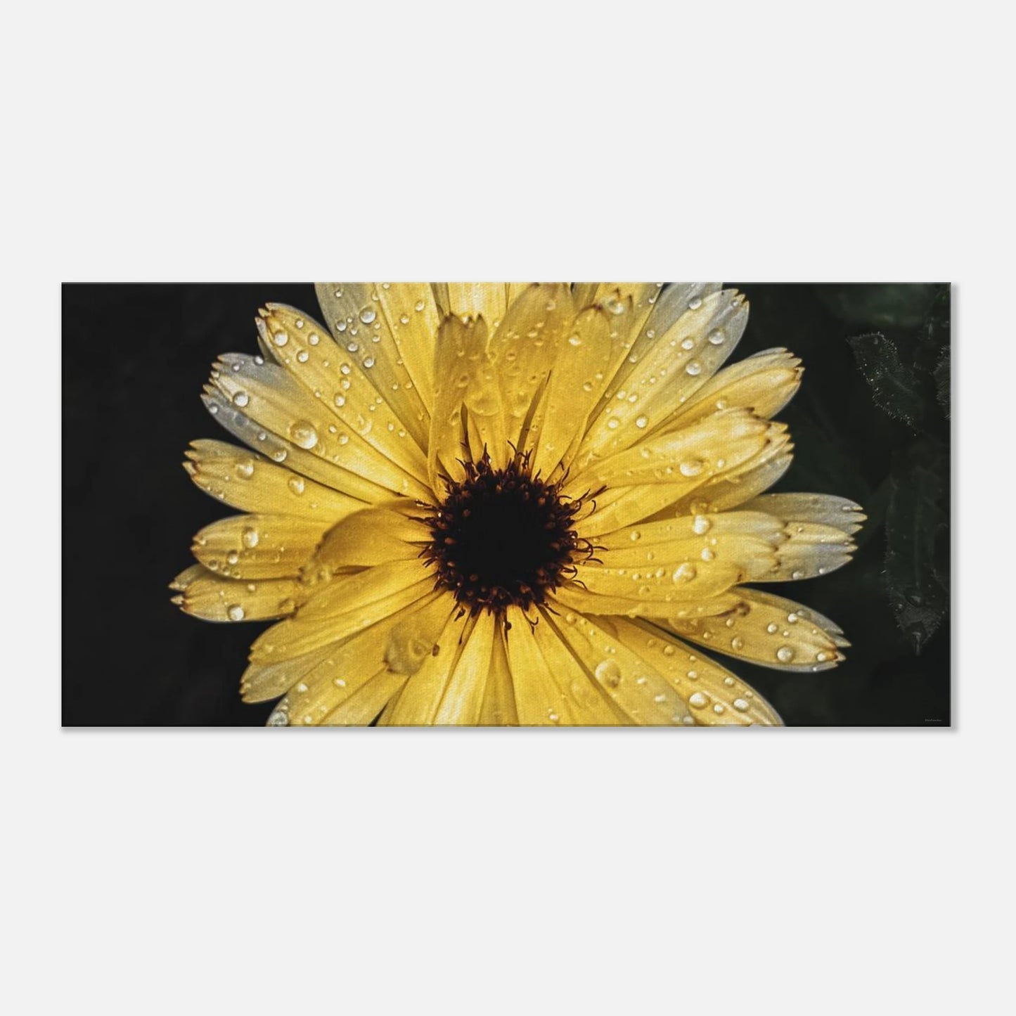 6d5f1bd1-b3c7-4347-8a35-beef2b33ad90