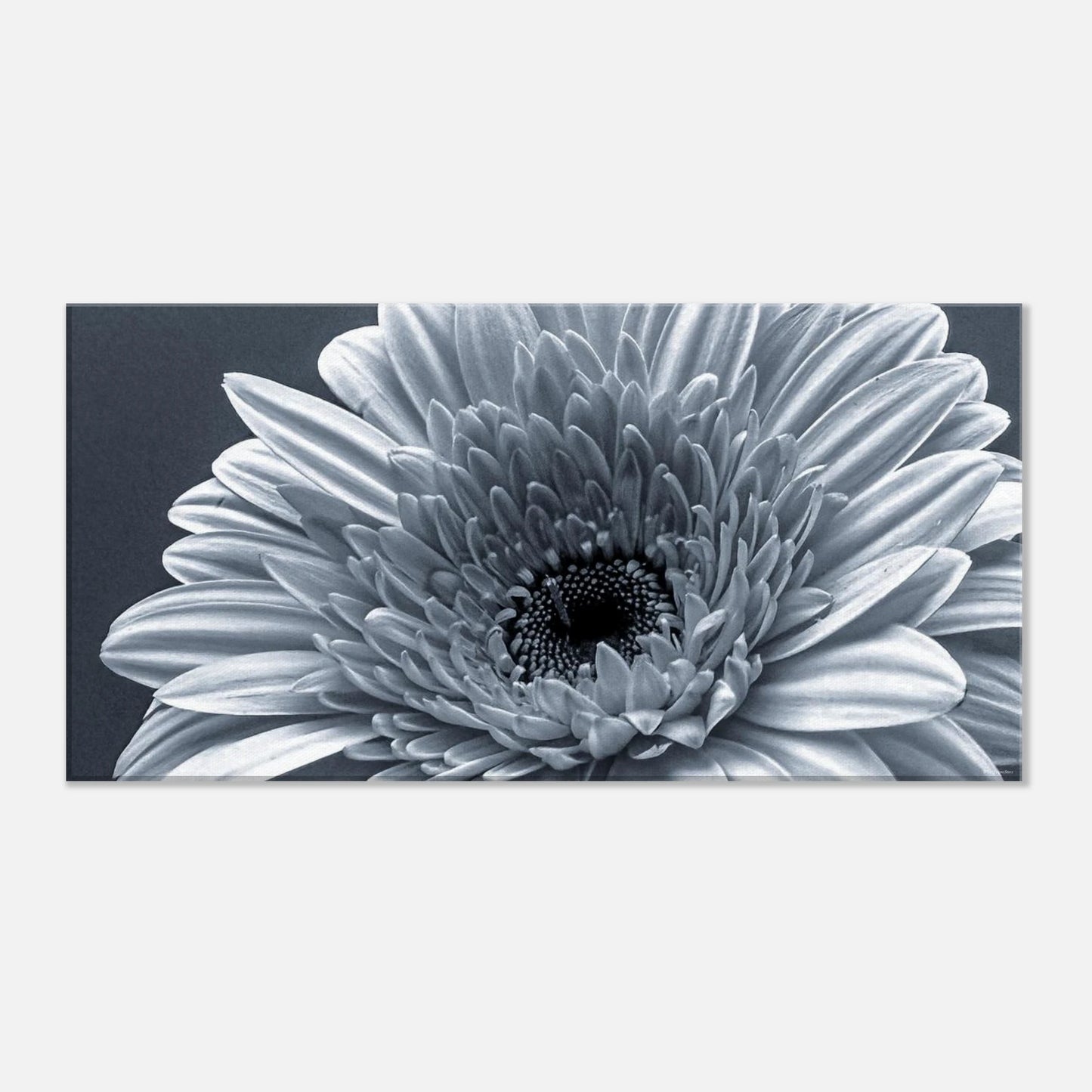 6d6c8460-da7e-40f9-bb98-22bb97a1d74c
