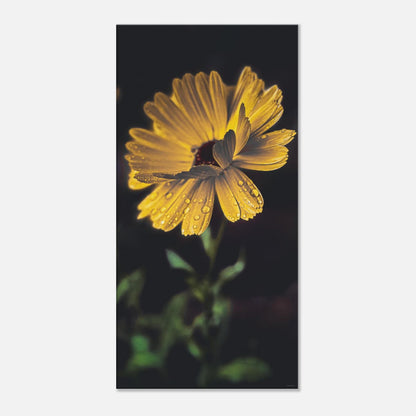 6d77dad2-3fd9-4f77-8212-4390f403161f