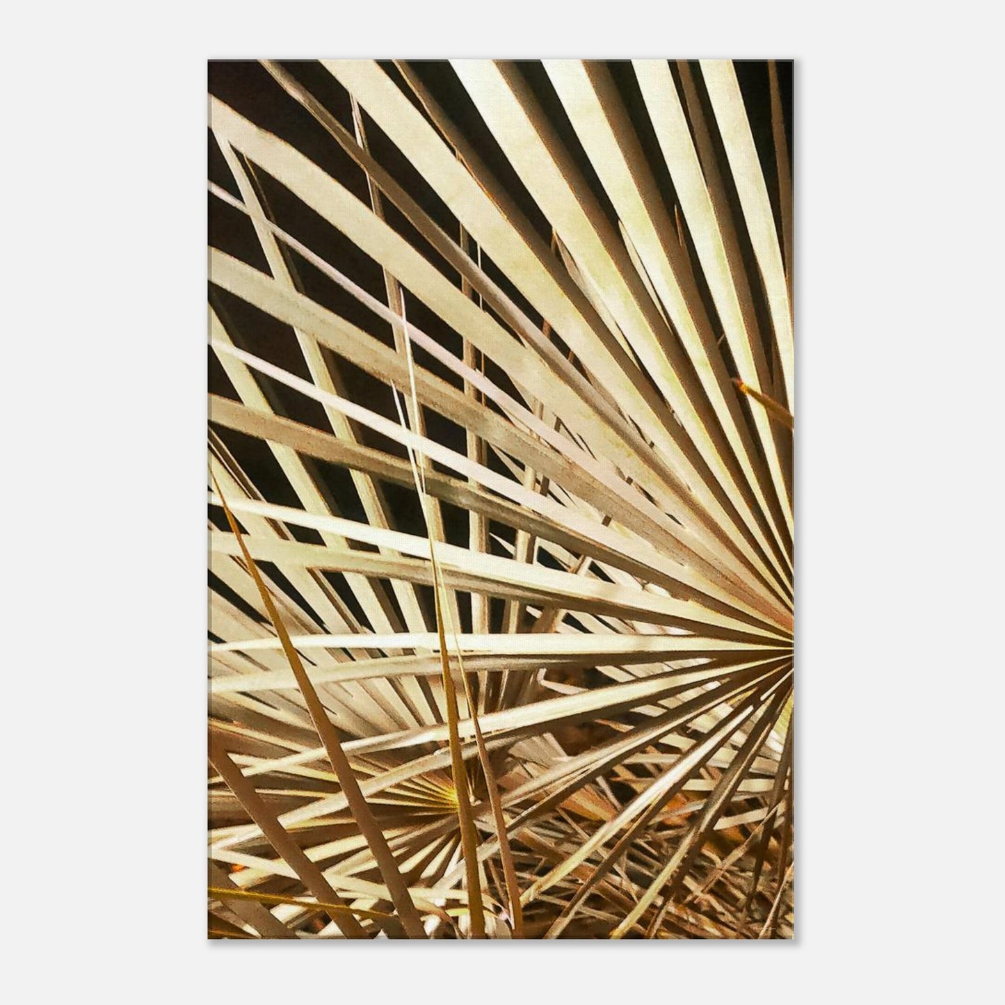 6d7c9764-09ec-4043-bf39-170644f21123