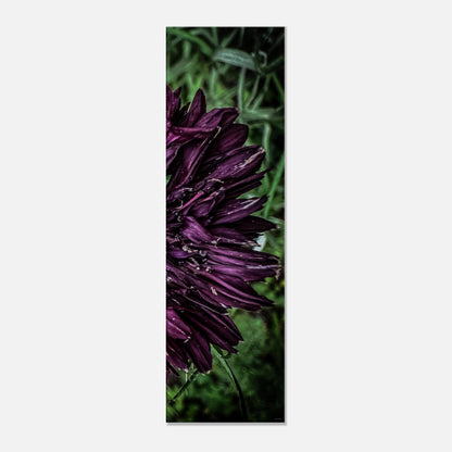 6e575360-1ce9-4624-b508-f443c9f9ab53