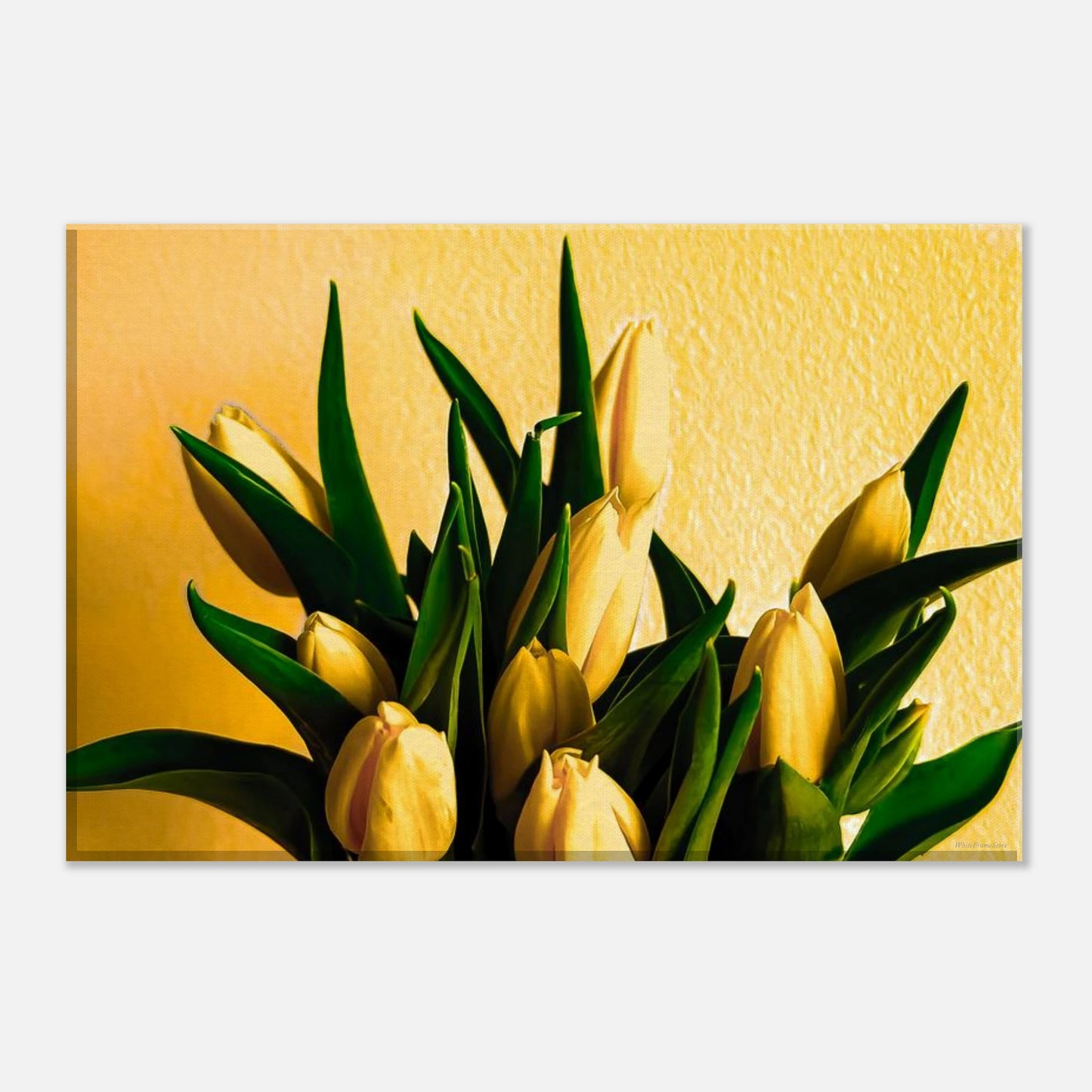 6e6019d4-d3a6-467a-aa7f-a0cd404e1628