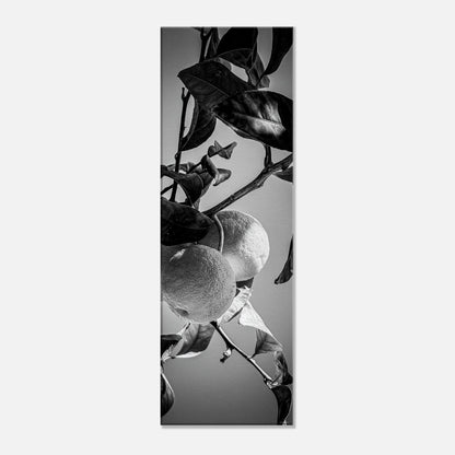 6e96956e-f06b-48f1-a0be-36865eda7e88