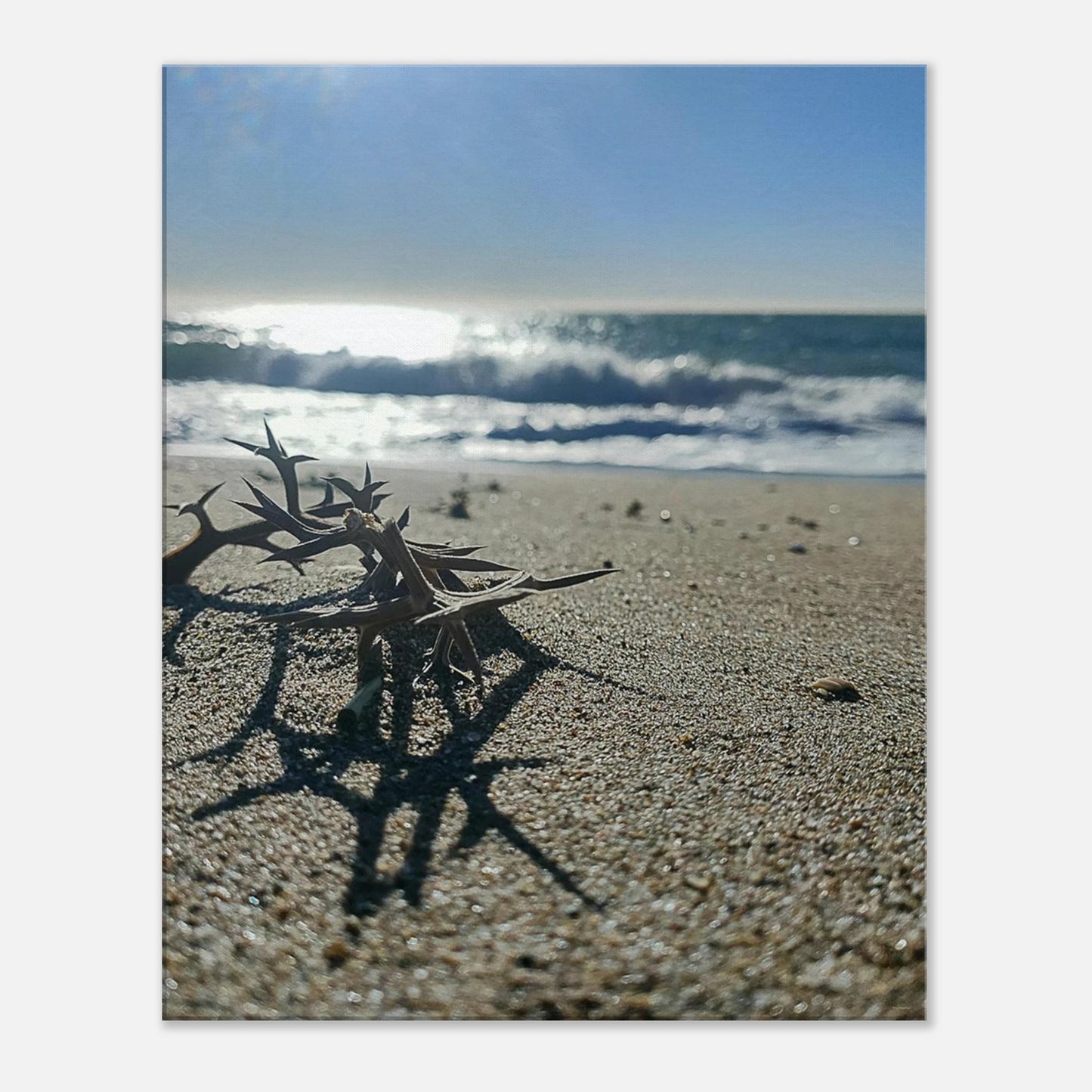 6e98b60a-ad5c-45fe-8f1e-8a9c97b77e7f