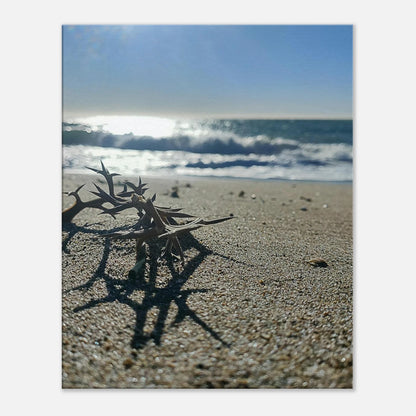 6e98b60a-ad5c-45fe-8f1e-8a9c97b77e7f