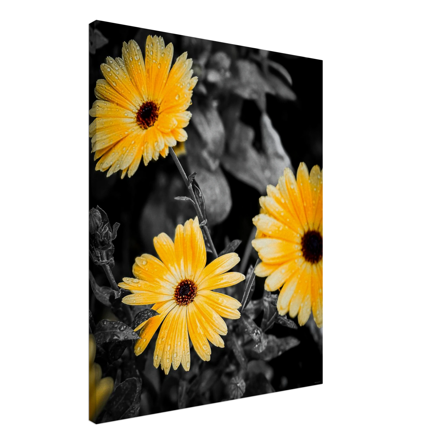 6ed6b38d-85fa-4fa7-8153-4f0d4a2d6452