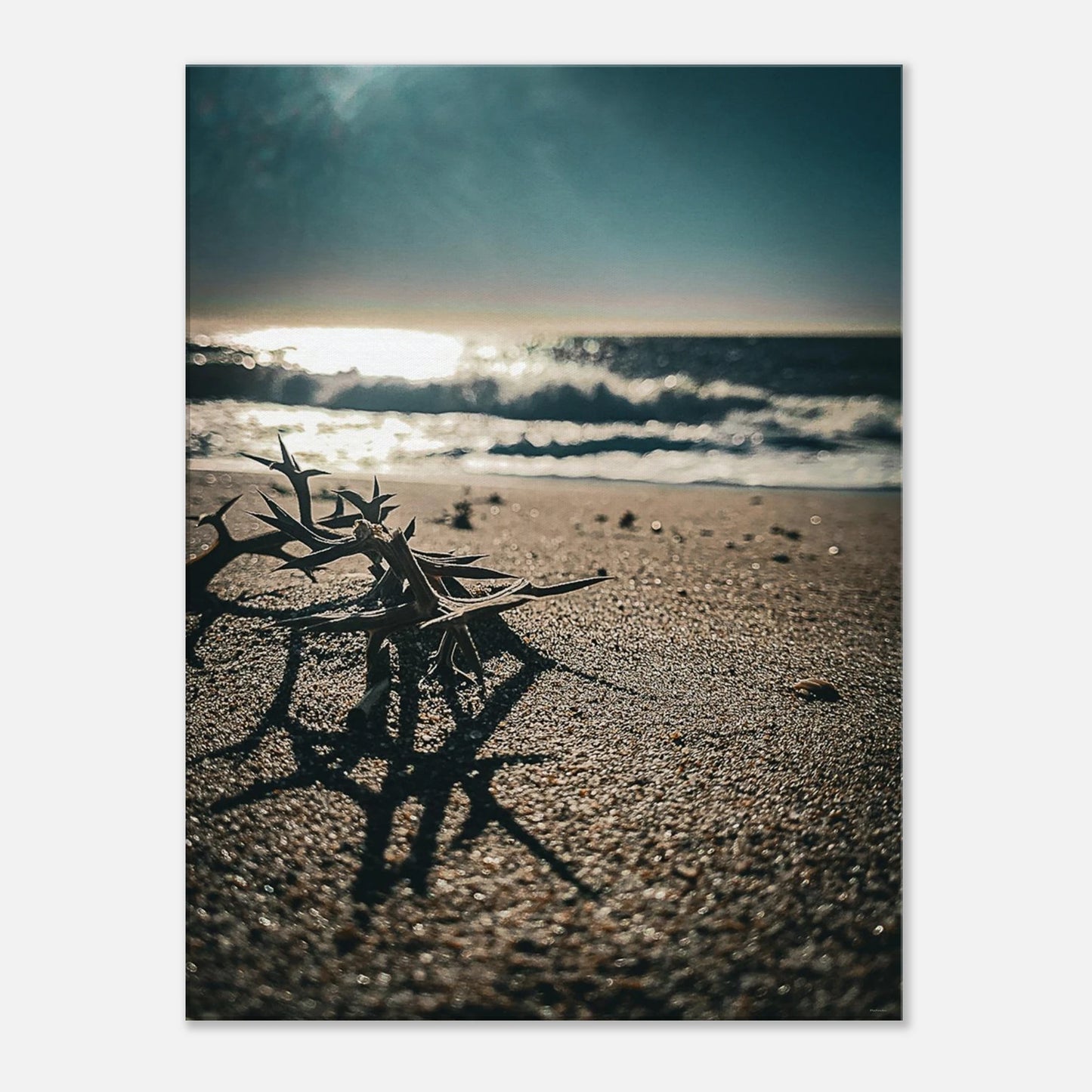 6eecc23a-fcd4-4796-a44b-c96a2443d6ba