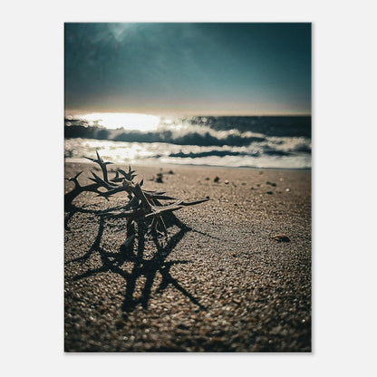 6eecc23a-fcd4-4796-a44b-c96a2443d6ba