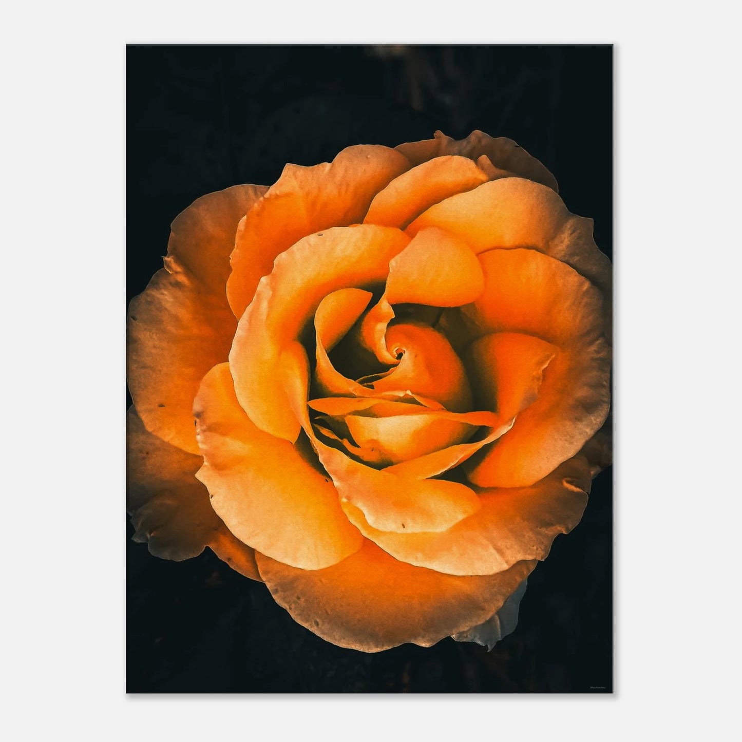 6f4b2886-863d-4f95-a73e-48fe6fe39c0d