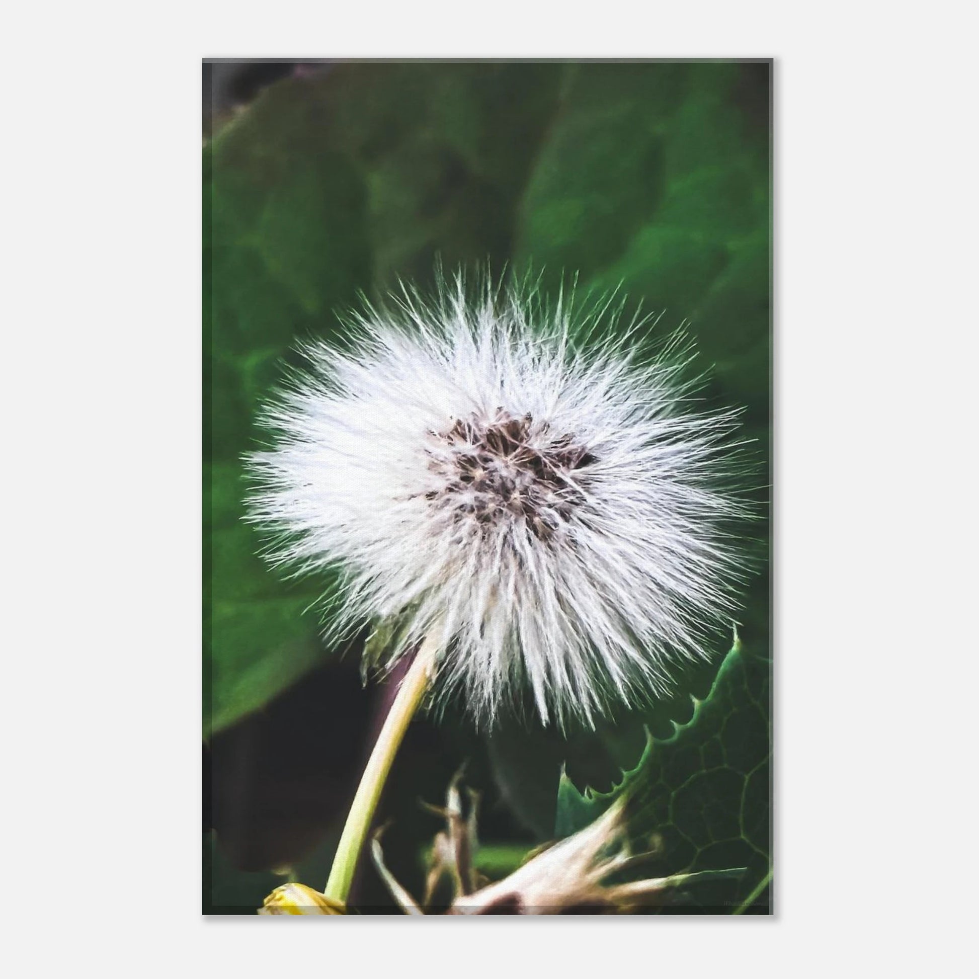 6f57cdbd-7e8e-4572-b66a-45d1fd72842c