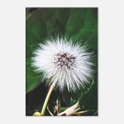 6f57cdbd-7e8e-4572-b66a-45d1fd72842c