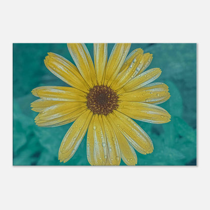 6f9c5ea3-d398-4bbf-8dae-079f9e00b0d1