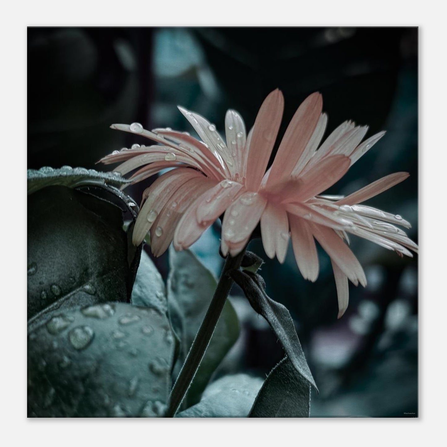 6fb4764a-caa9-4dff-90b0-196c1d71c6f8