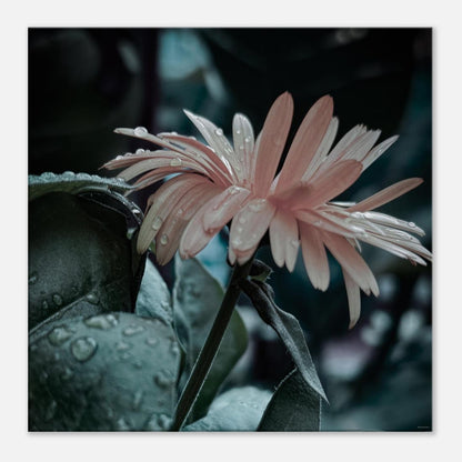 6fb4764a-caa9-4dff-90b0-196c1d71c6f8