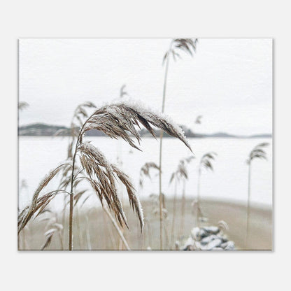 6fc54ab1-4bc5-41a0-8258-360640290e79