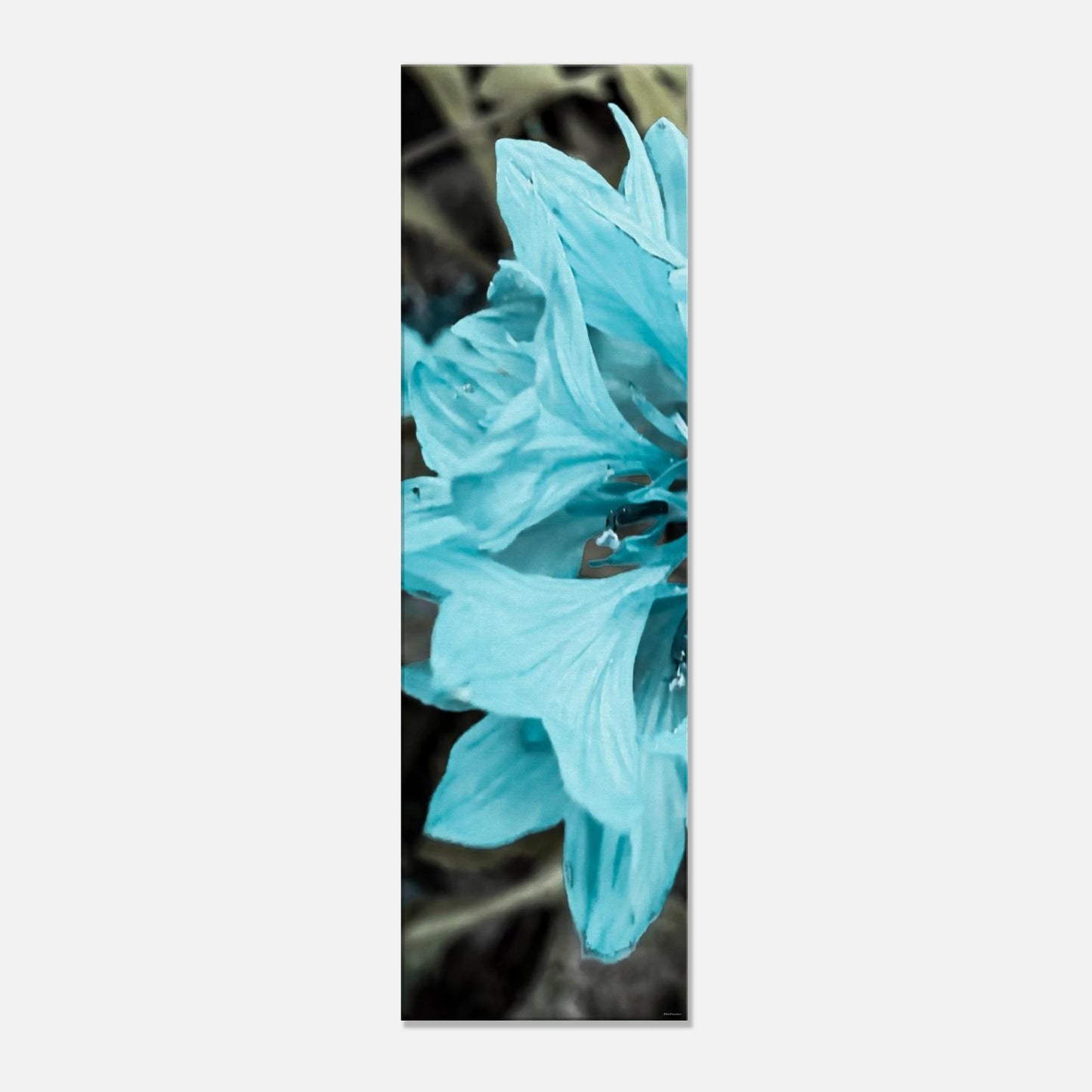 6fe81b5b-7f4a-4f48-8c5a-31d547569aeb