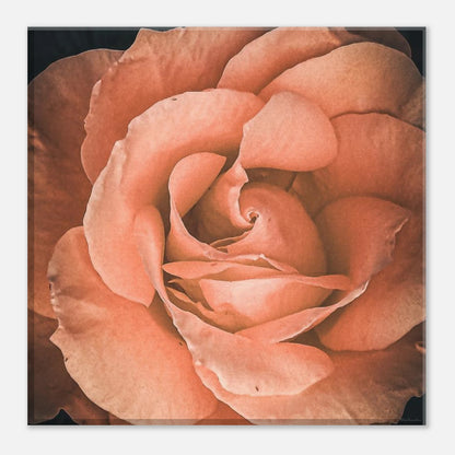 6ffda40a-0c8f-4347-974d-64a1cbe80f71