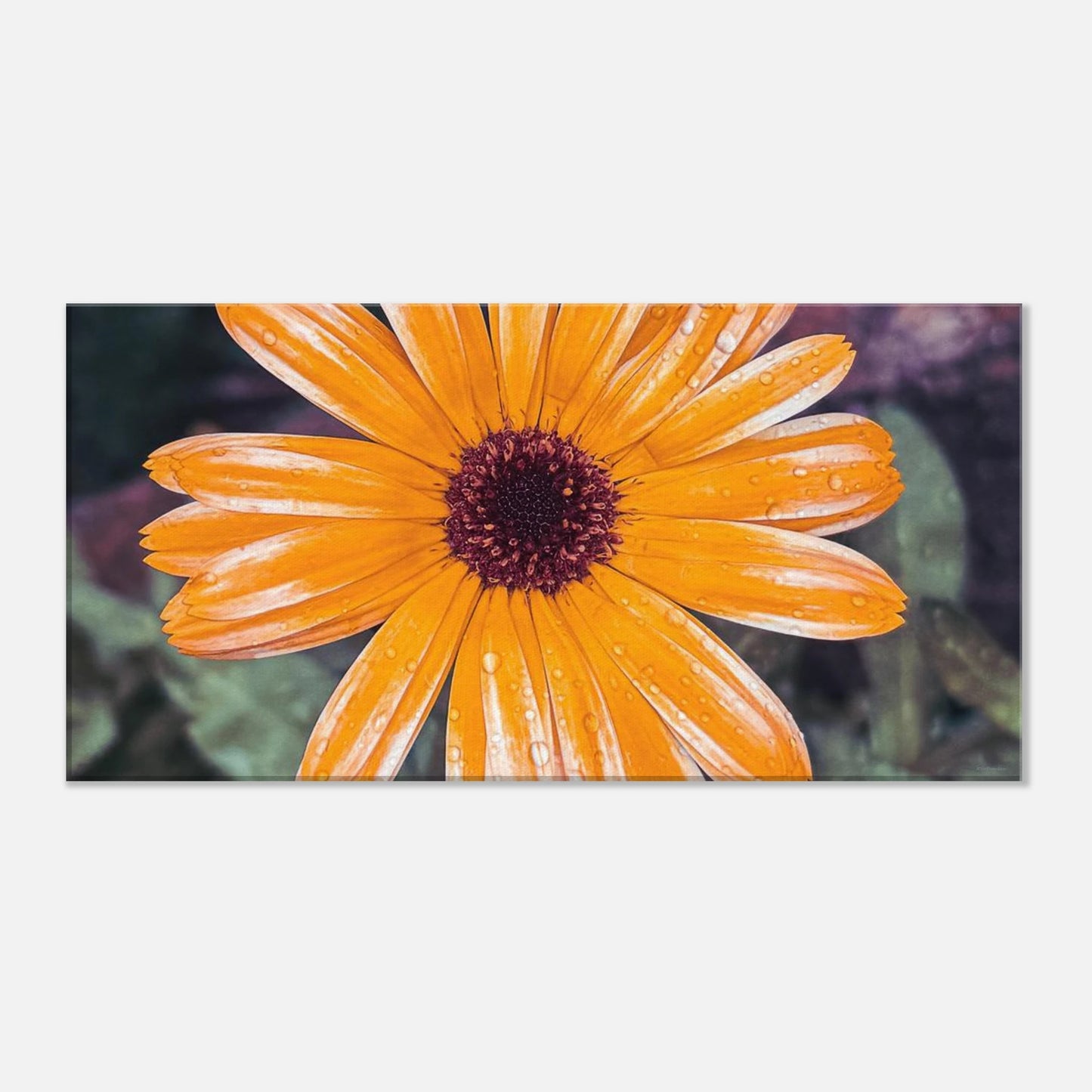 70000aa7-03a5-42d2-9f68-867e004e28bb