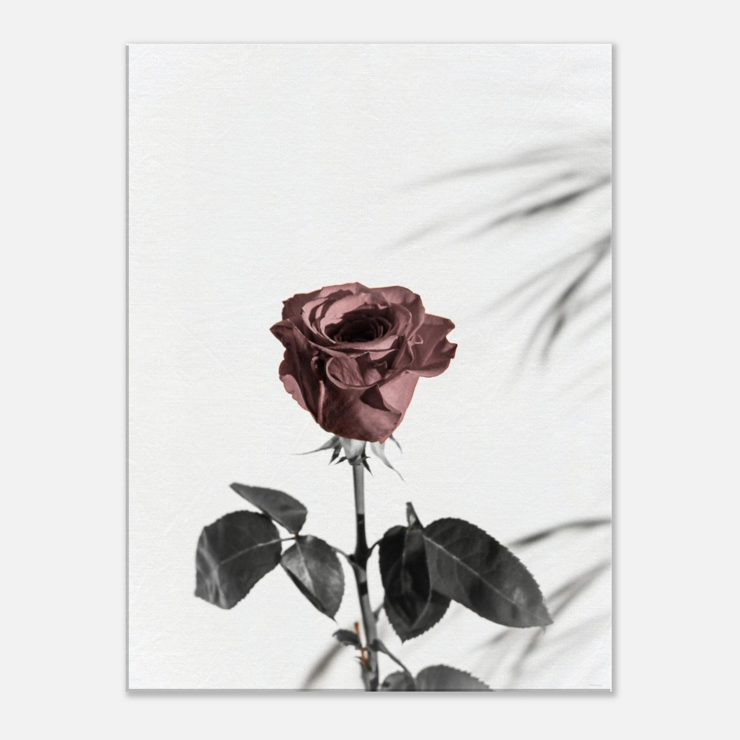 70352508-6966-49f5-8407-add8f47d6938