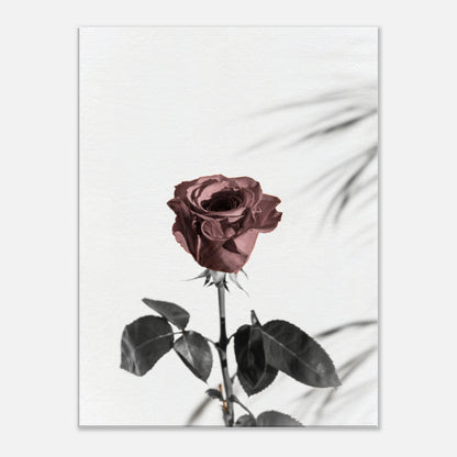 70352508-6966-49f5-8407-add8f47d6938