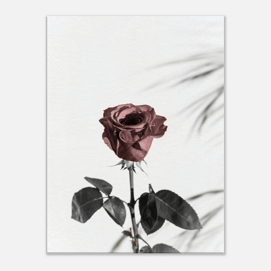 70352508-6966-49f5-8407-add8f47d6938