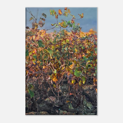 7042187e-f3c6-4bc0-bdf7-409e759ed690