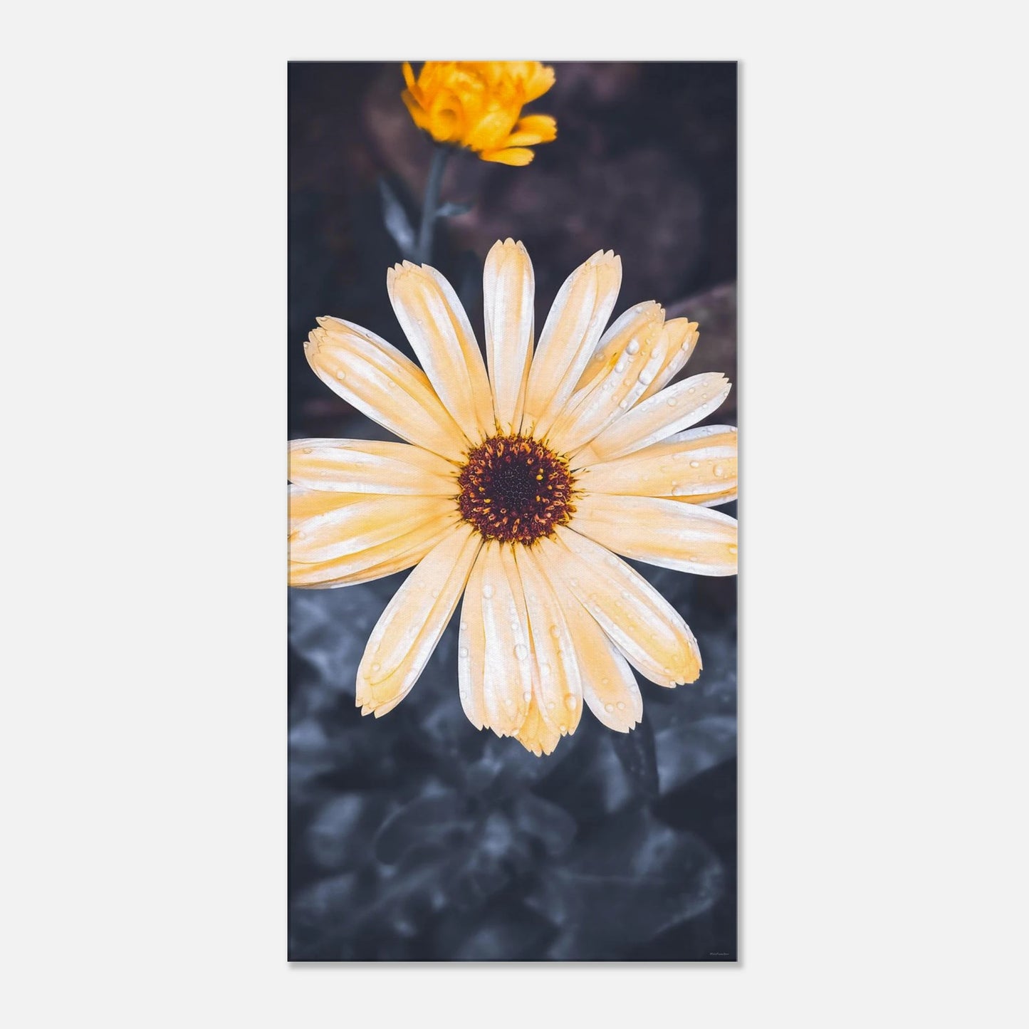 70439d77-9a39-441a-b891-426a65137c45