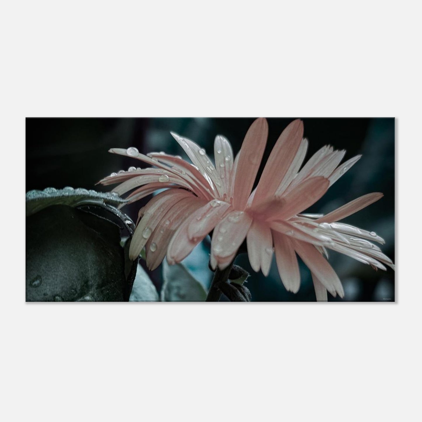 704414be-9f52-4433-9996-94fc6d1e71c3