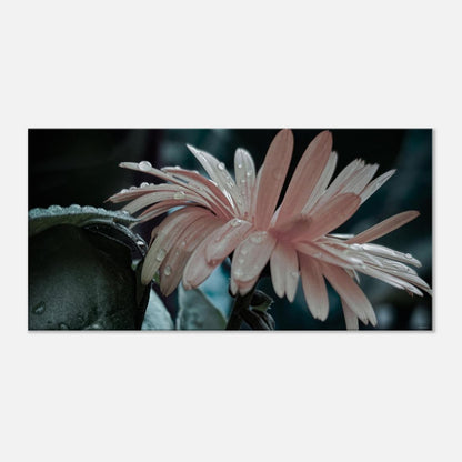 704414be-9f52-4433-9996-94fc6d1e71c3