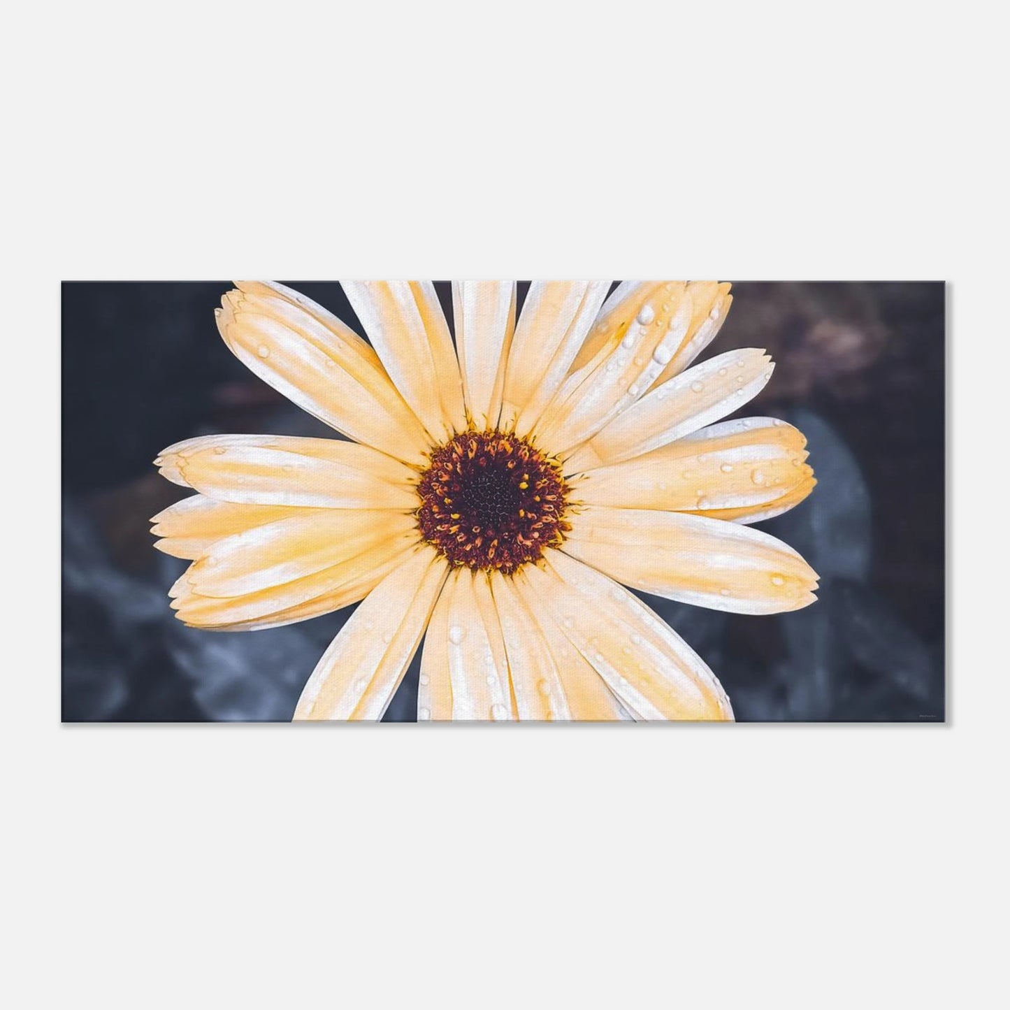 705c68d1-91d4-4fdd-a9c5-185170dcd616