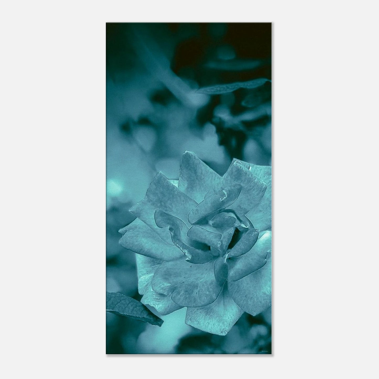 705e56d3-01e0-4c9a-b5f8-a1a78eebcb9d