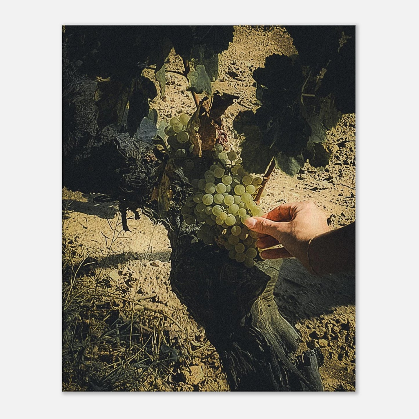 70908577-50f1-435f-9f05-fe864a915e80