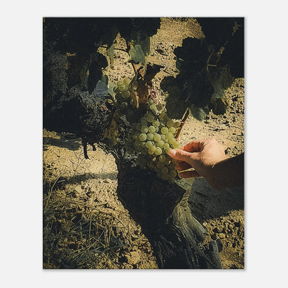 70908577-50f1-435f-9f05-fe864a915e80