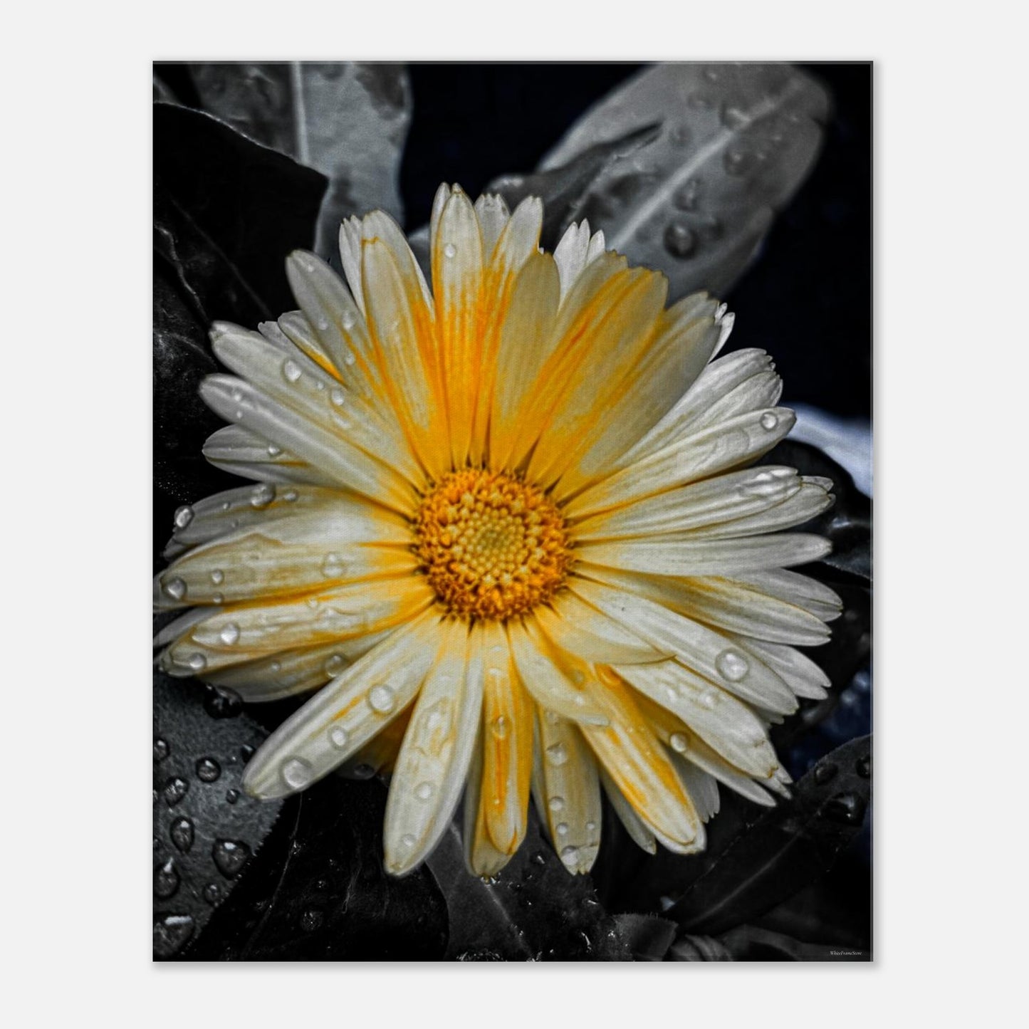 709462c4-5e07-4945-87aa-f833736446da