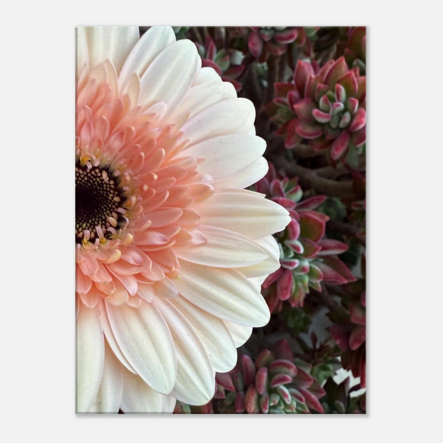 70cb38a1-65b8-4349-8af5-5d64476f432a