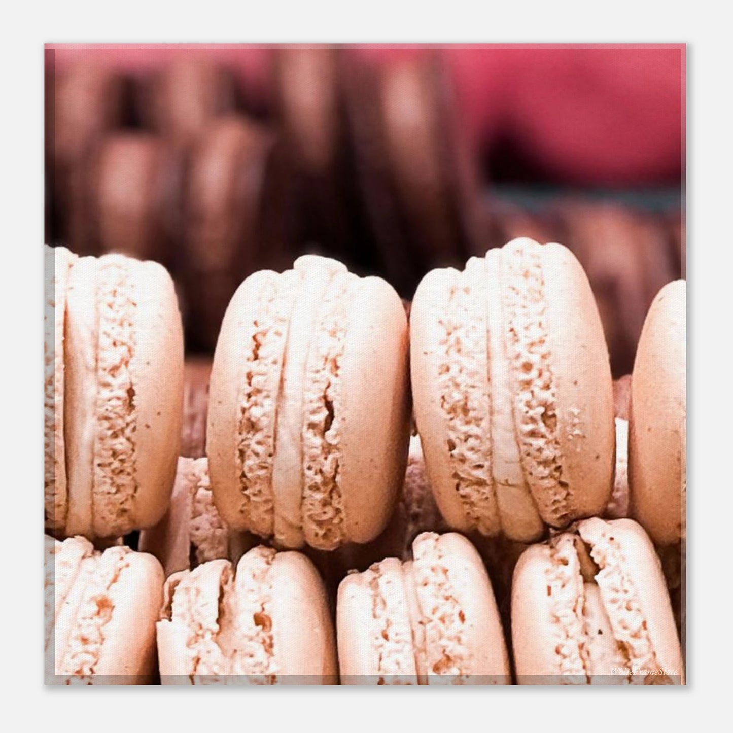 70d2393e-be9d-4319-af53-0fedf40bdad8