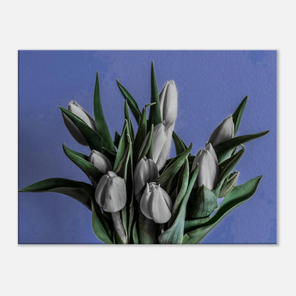 70fc12c5-701b-4cd3-84d1-844965d2cbe2