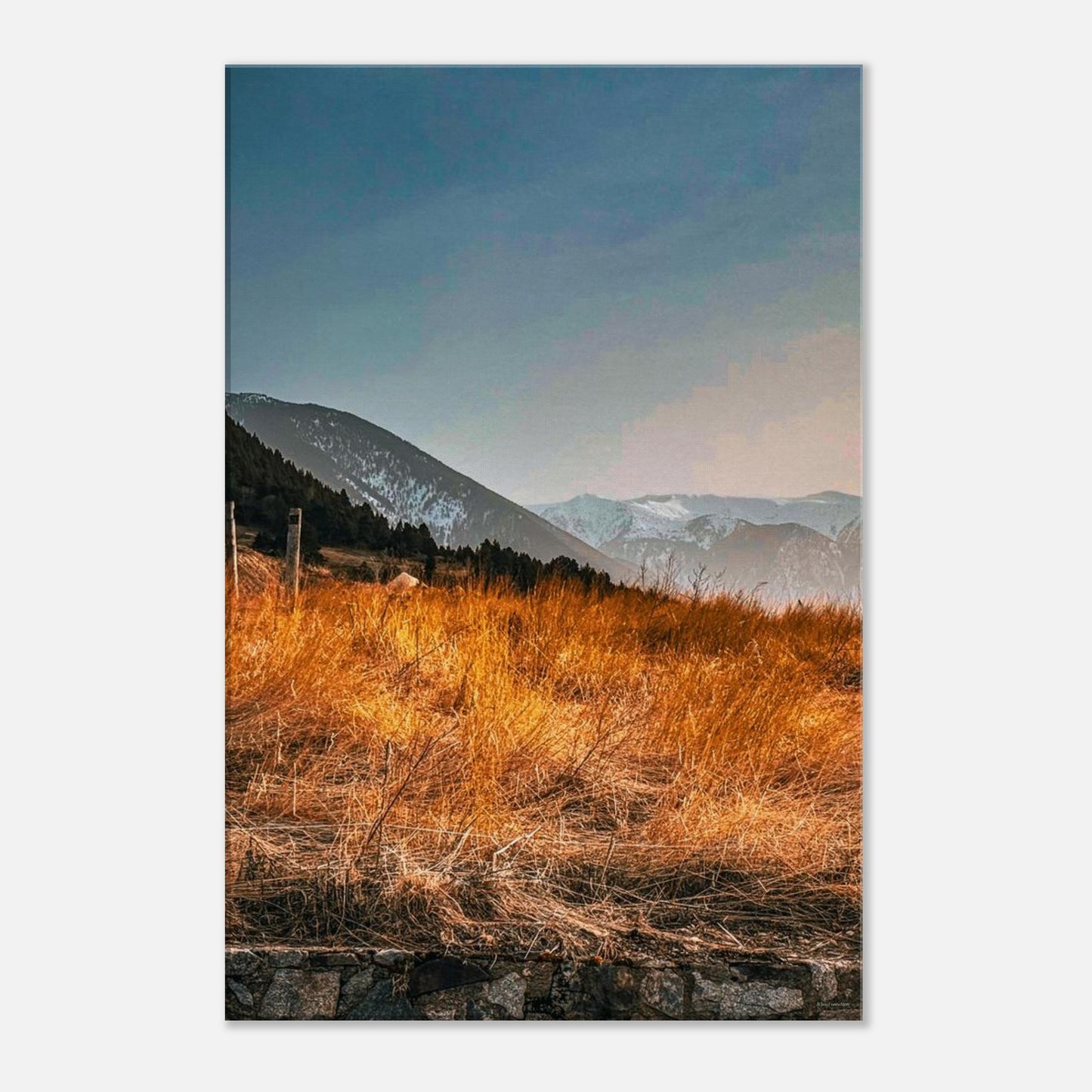 711afc8f-d5a2-457d-a592-cffae605312a