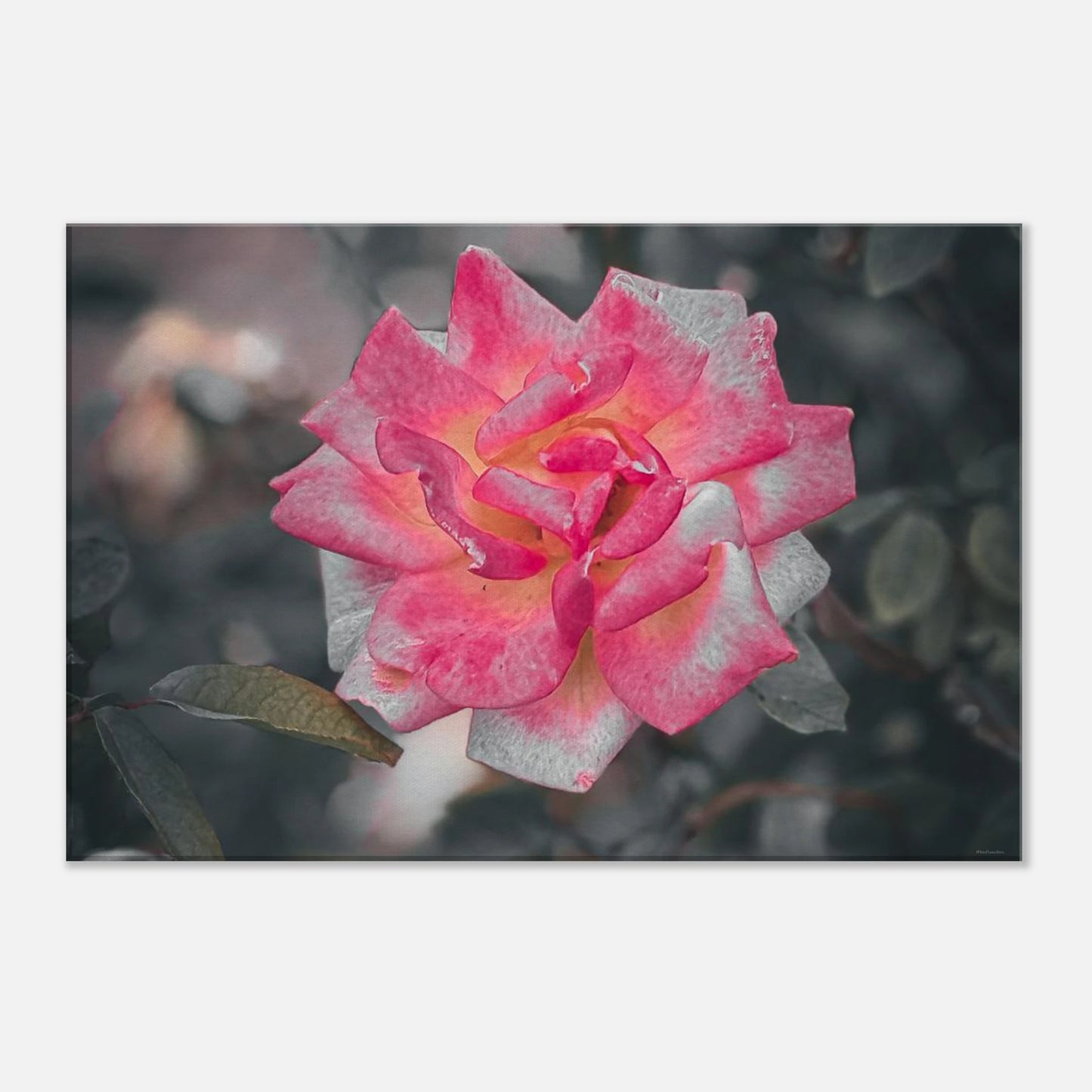 712a304e-6a21-4b0d-b397-7fda027dc98d