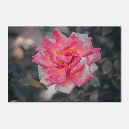 712a304e-6a21-4b0d-b397-7fda027dc98d